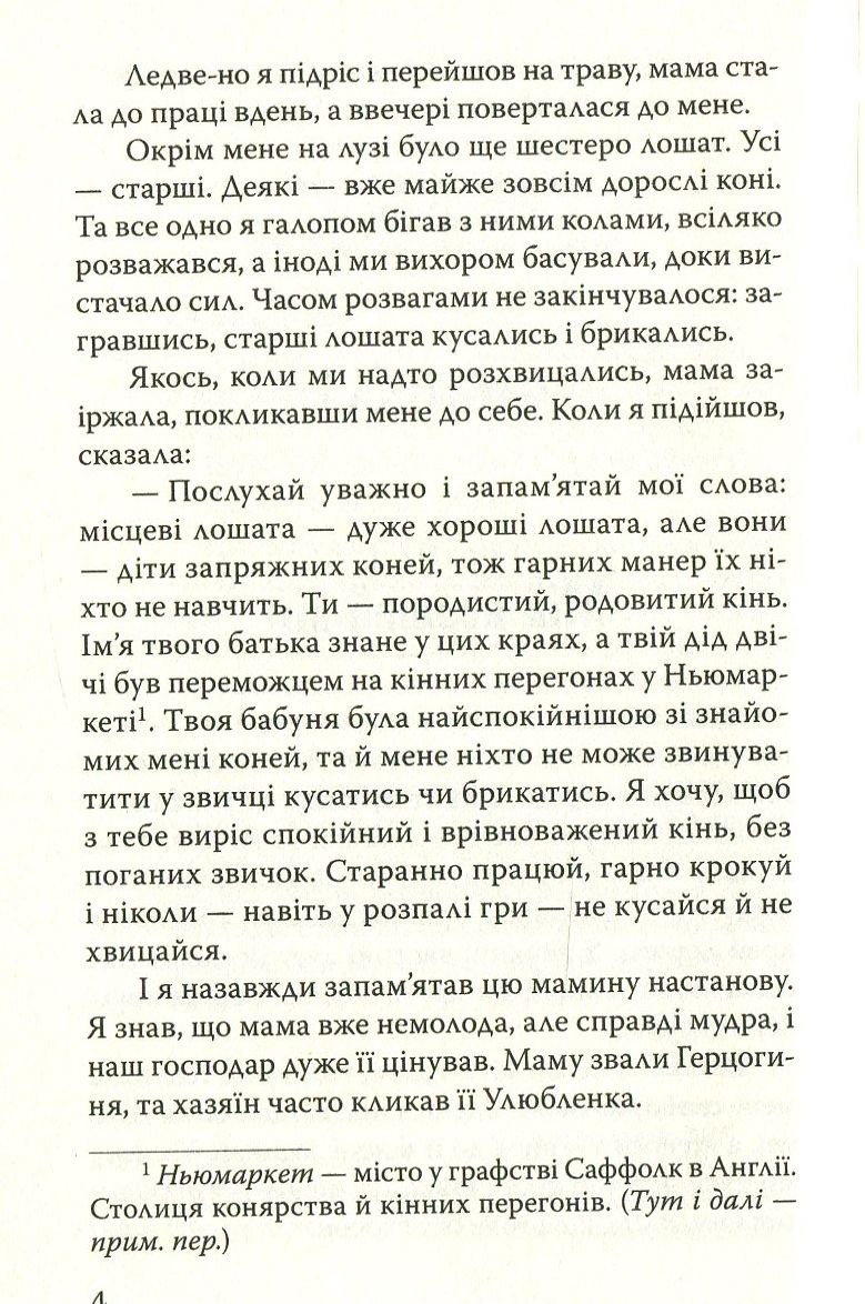 Чорний Красень — фото 4