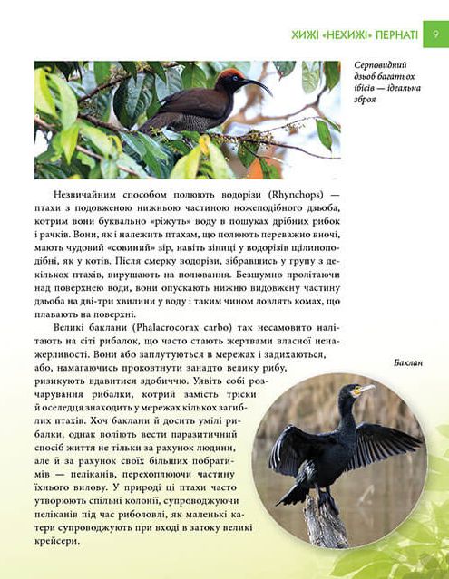 Енциклопедія для допитливих. Хижаки — фото 4