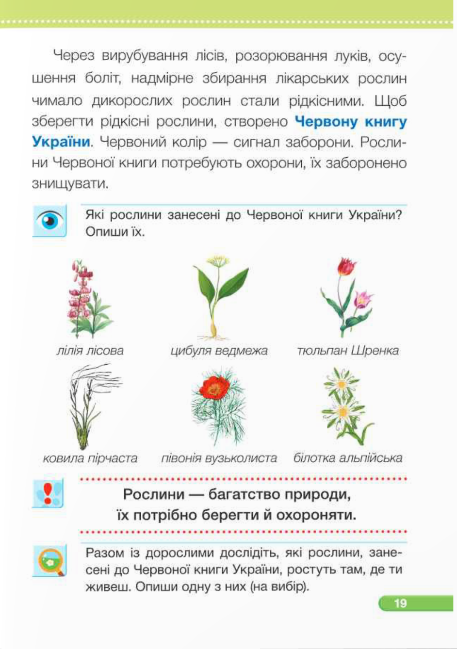 [object Object] «Я досліджую світ. Підручник для 1-го класу у 2-х частинах. Частина 2», авторів Ірина Жаркова, Лариса Мечник, Лілія Роговська - фото №3 - мініатюра