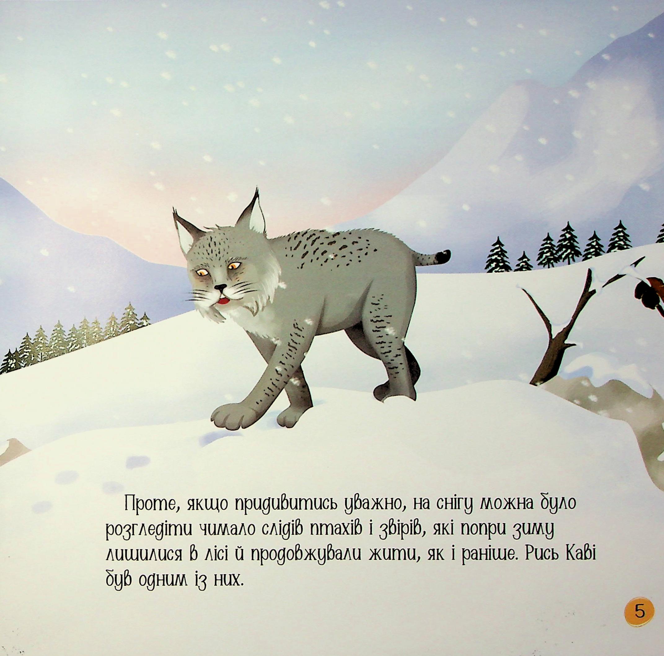 Рись іде по сліду — фото 4