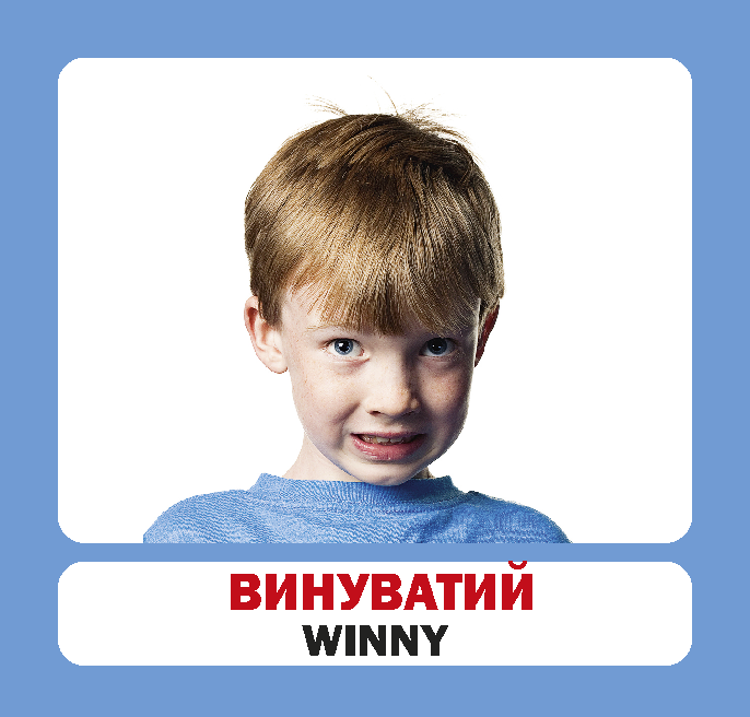 [object Object] «Емоції. Набір карток» - фото №4 - миниатюра