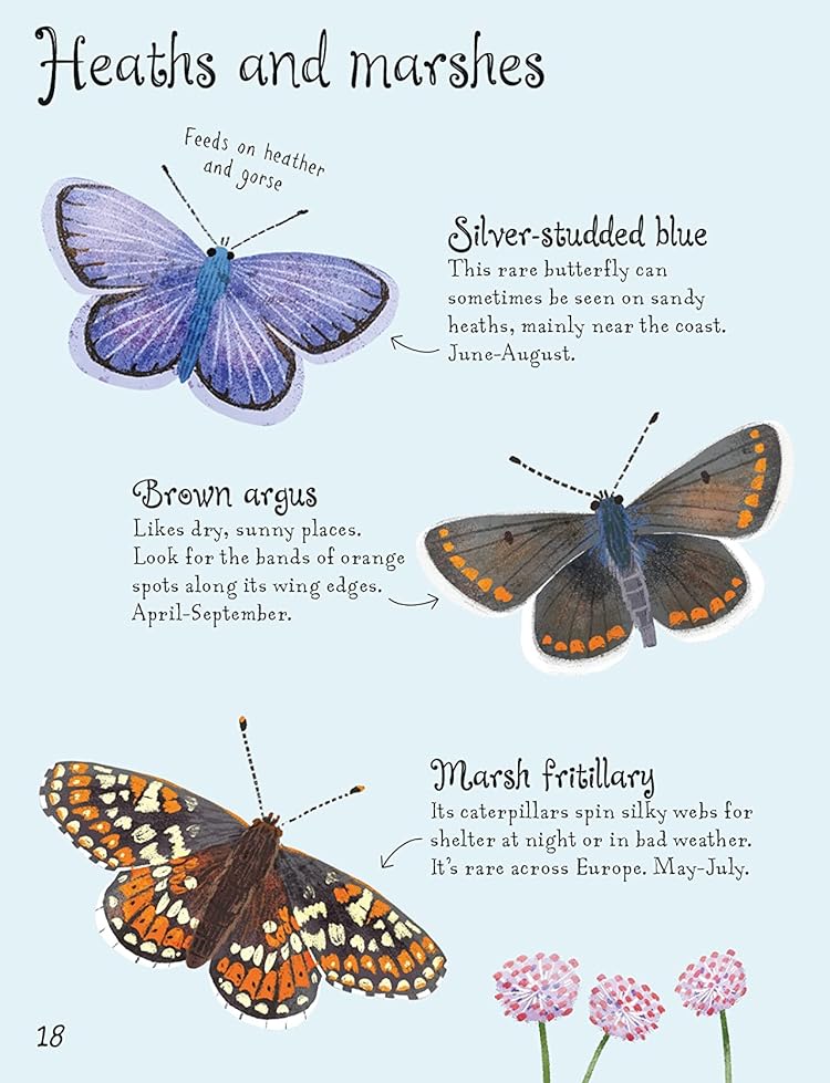 [object Object] «Butterflies to Spot», автор Кейт Нолан - фото №4 - миниатюра