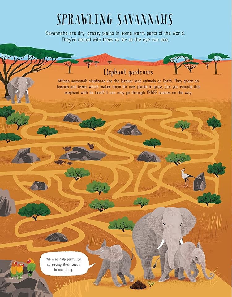 [object Object] «Planet Earth Activity Book», авторів Ліззі Коуп, Сем Бер - фото №4 - мініатюра