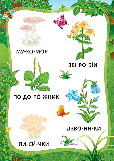 Пригоди в лісі. Книжка з наліпками — фото 5
