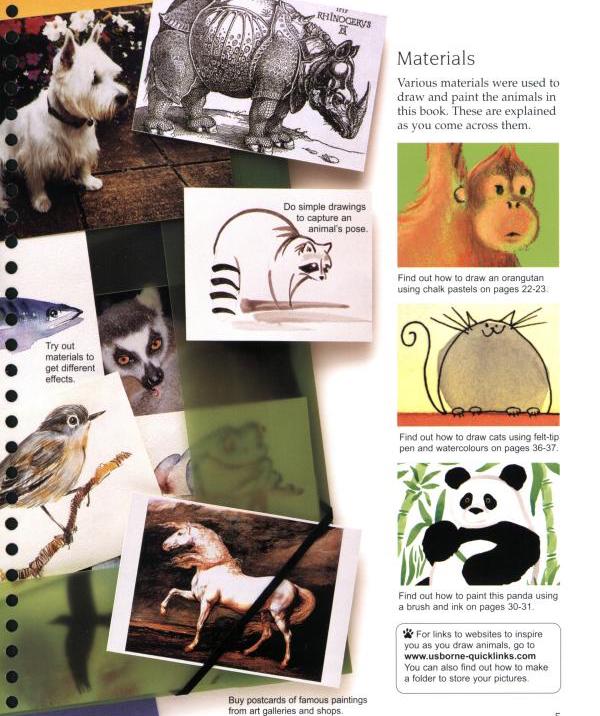 [object Object] «Usborne Art Ideas. Drawing Animals», автор Анна Милборн - фото №4 - миниатюра