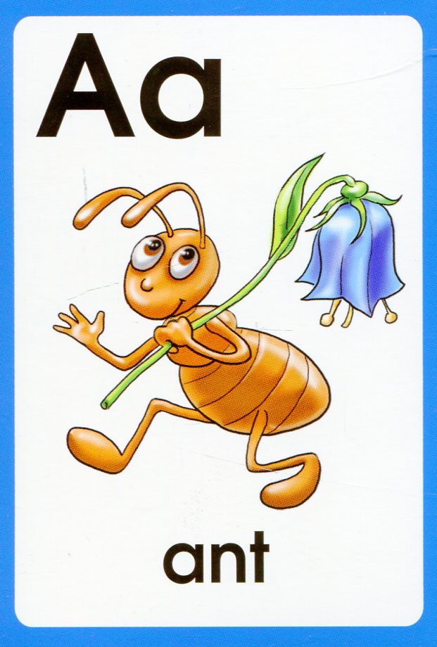 Англійська абетка ABC Words. Speak, Read, Trace, Colour. Картки — фото 4