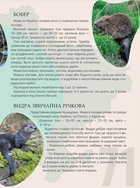Перлини природи України — фото 4