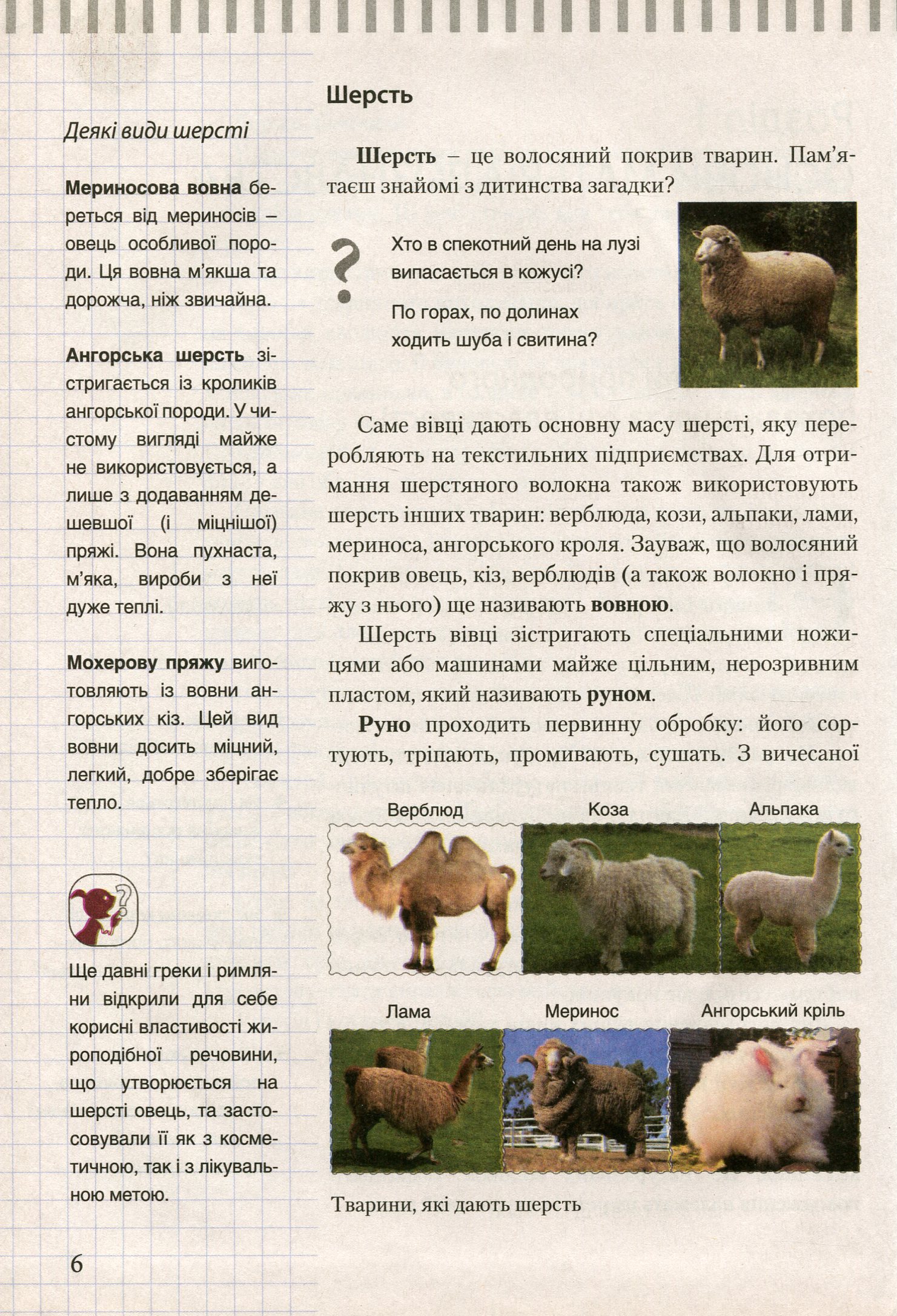 Трудове навчання (для дівчат). Підручник для 7 класу загальноосвітніх навчальних закладів — фото 9