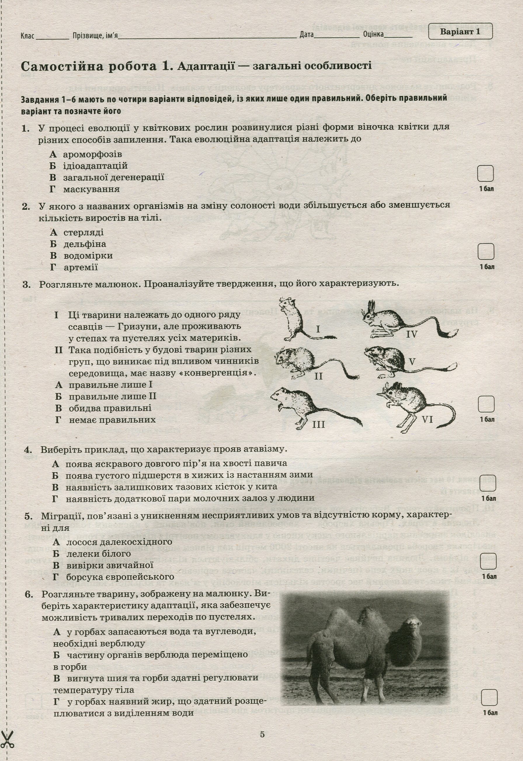 Біологія і екологія. 11 клас. Рівень стандарту (зошит для контролю предметних і ключових компетентностей) — фото 5