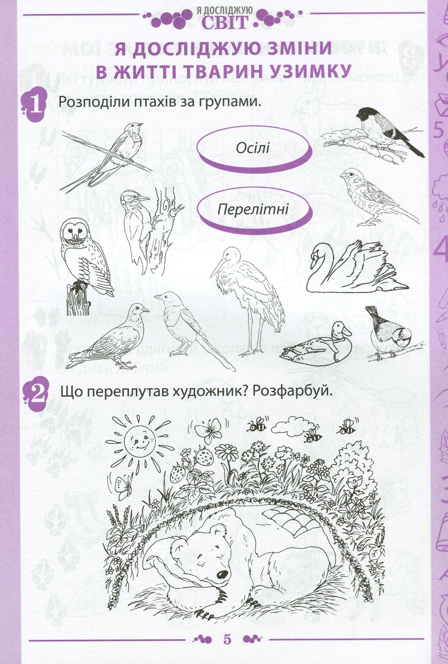 Я досліджую світ. 1 клас. Робочий зошит у 2-х частинах. Частина 2. До підручника "Я досліджую світ. 1 клас" (І. Большакова, М. Пристінська) — фото 5