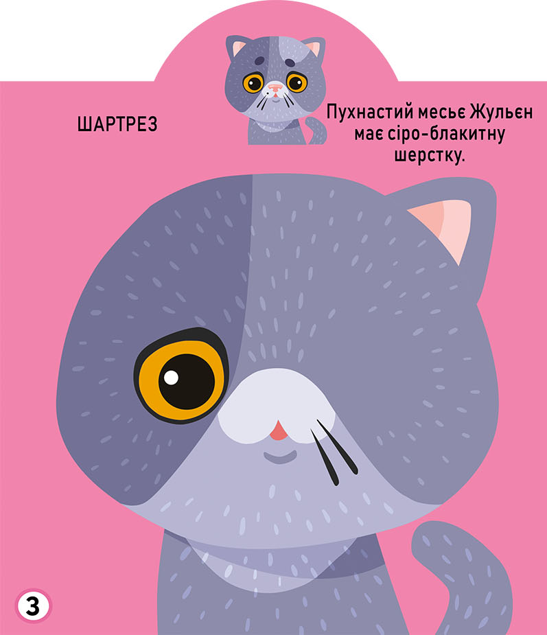 [object Object] «Грайка-розвивайка. Котики. 69 великих наліпок» - фото №4 - миниатюра