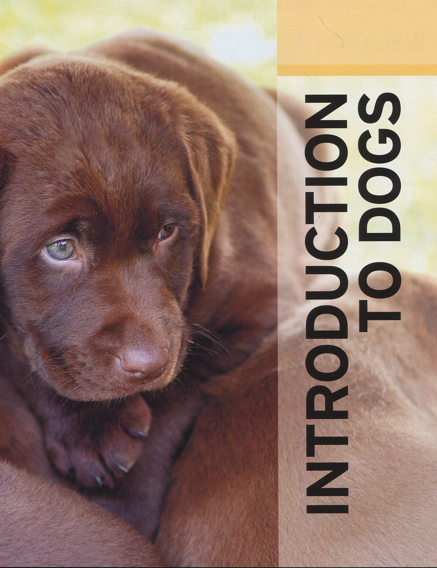 [object Object] «The Complete Dog Breed Guide» - фото №5 - мініатюра