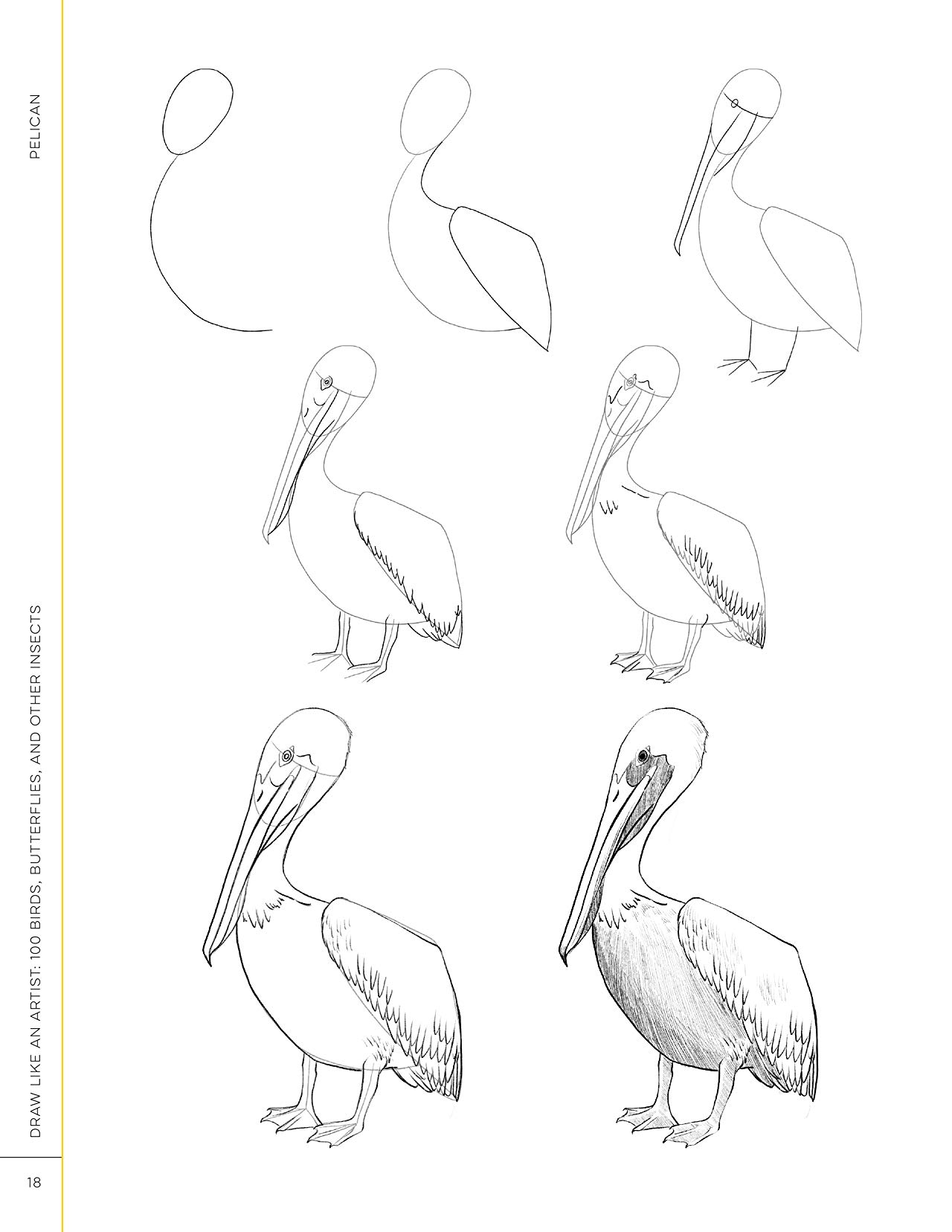 [object Object] «Draw Like an Artist. 100 Birds, Butterflies, and Other Insects. Step-by-Step Realistic Line Drawing — A Sourcebook for Aspiring Artists and Designers», автор Мелисса Уошберн - фото №4 - миниатюра