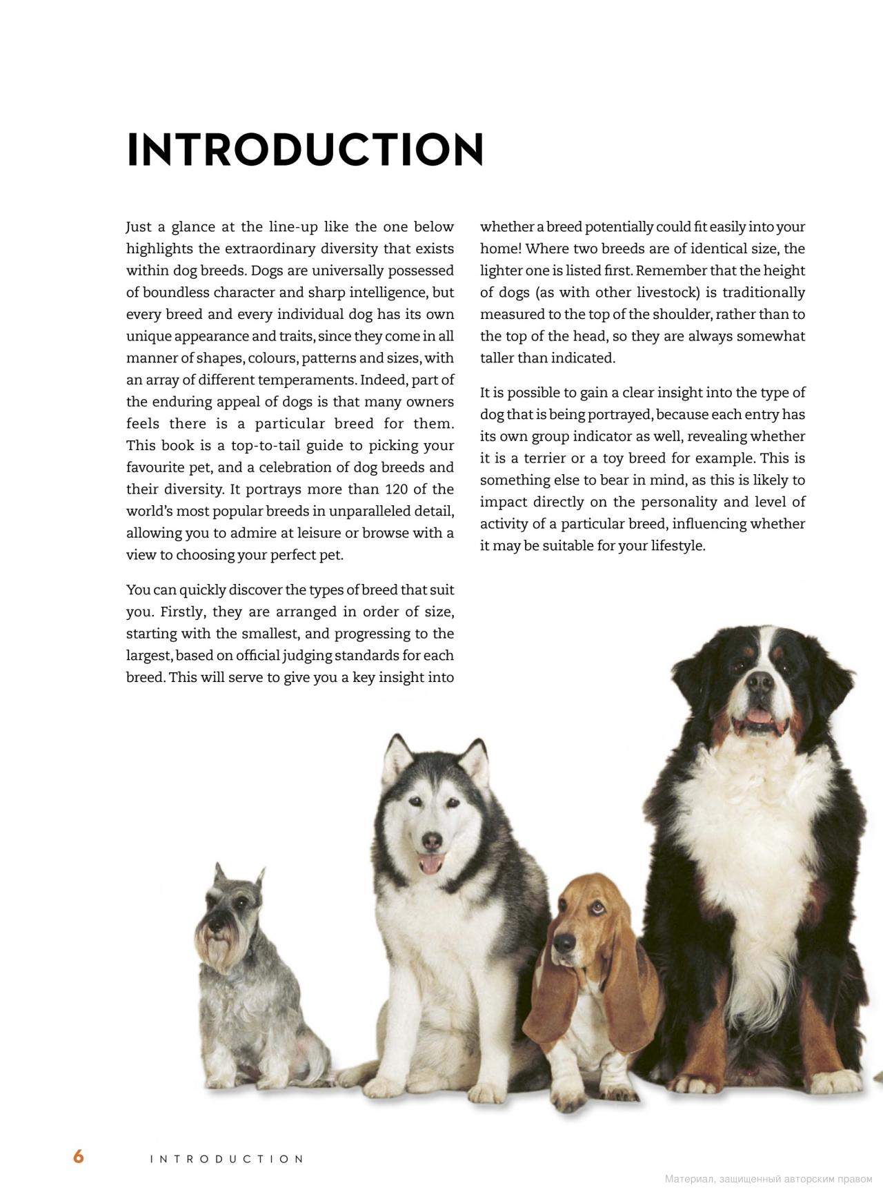 [object Object] «The Right Dog for You. How to choose the perfect breed for you and your family», автор Девід Олдертон - фото №4 - мініатюра