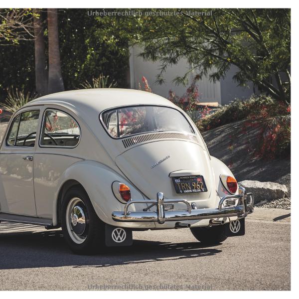 [object Object] «Beetle Love», автор Торстен Брінкманн - фото №4 - мініатюра
