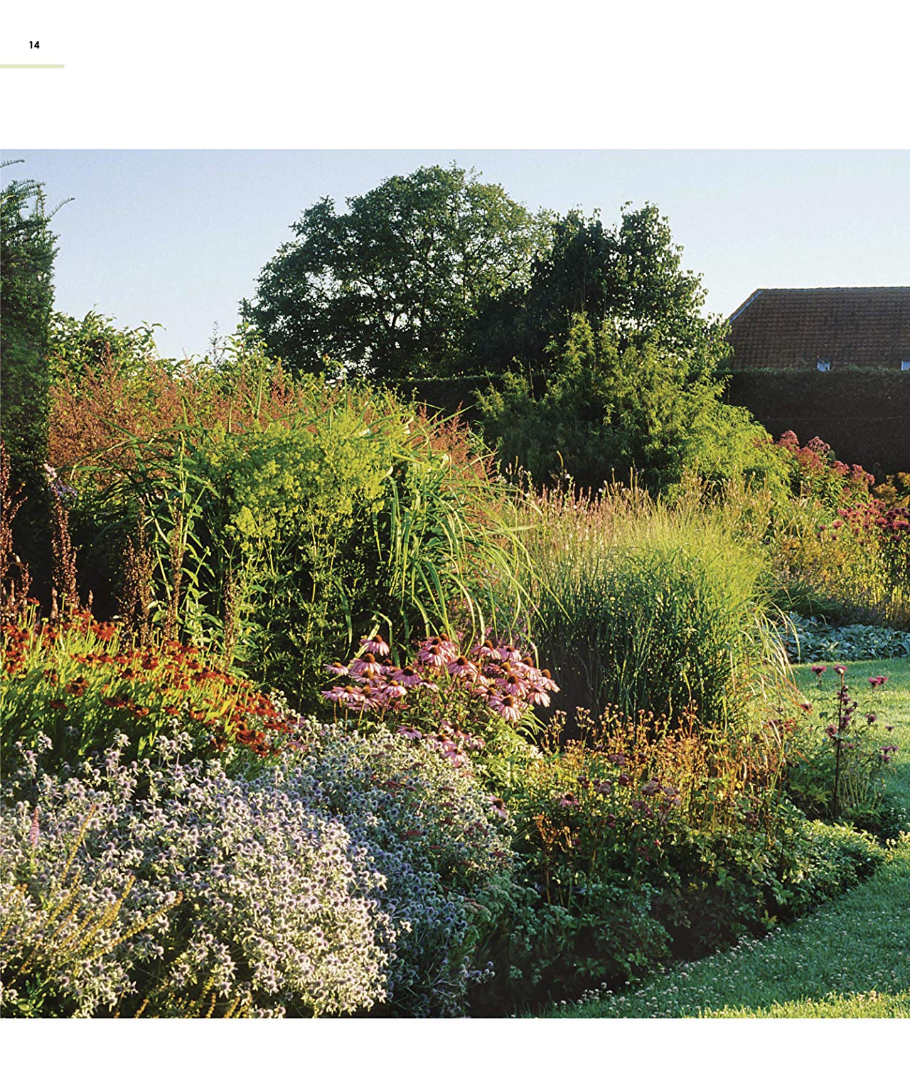 [object Object] «New Wild Garden. Natural-style planting and practicalities», автор Иэн Ходжсон - фото №4 - миниатюра