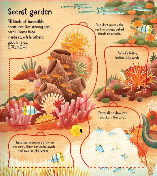 [object Object] «Look inside a Coral Reef», автор Минна Лейси - фото №4 - миниатюра