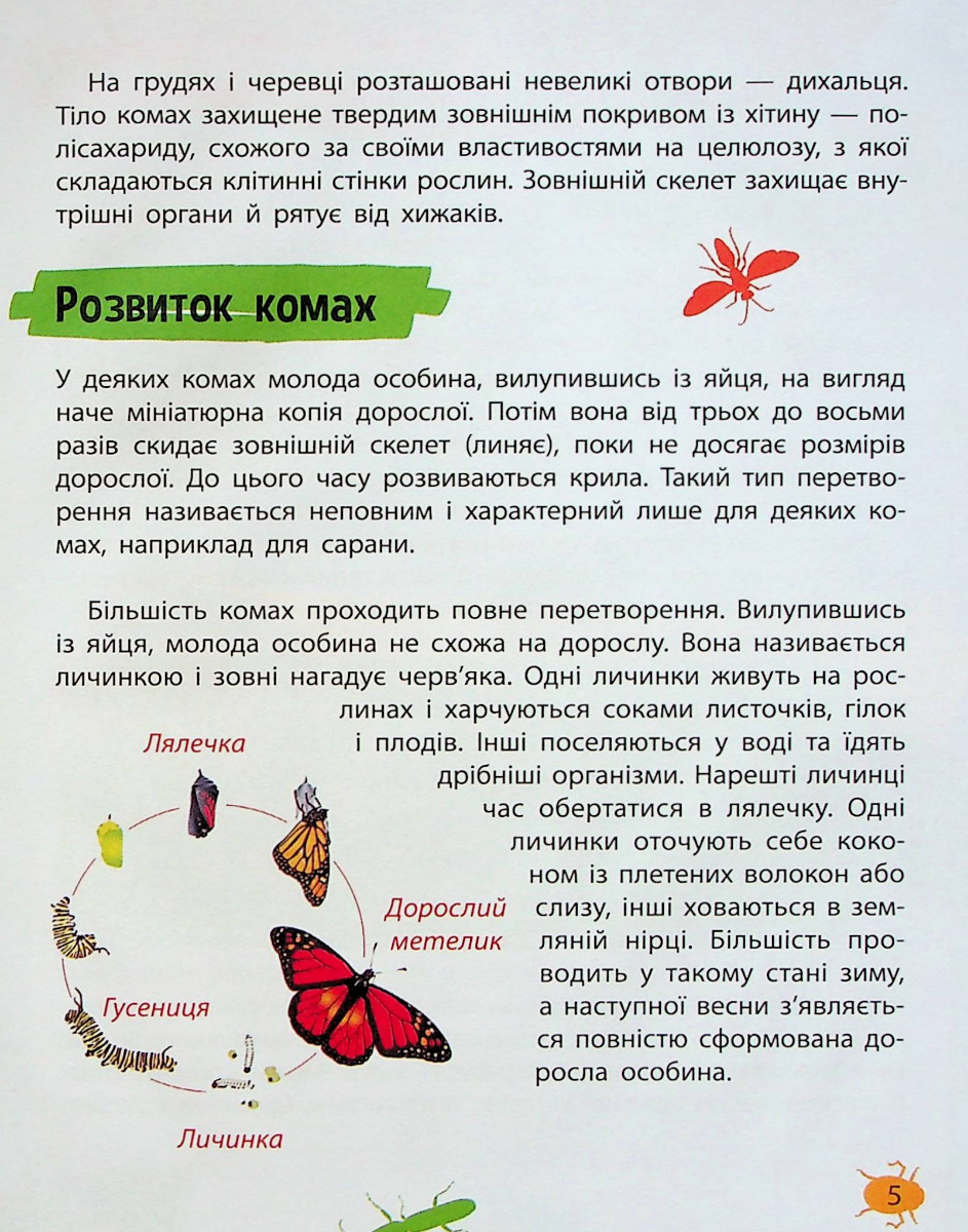 Мініенциклопедія. Комахи та павуки — фото 5