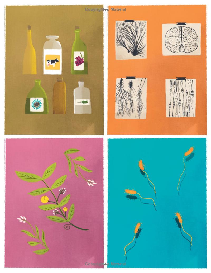 [object Object] «The Kitchen Pantry Scientist Biology for Kids. Science Experiments and Activities», автор Лиз Ли Хейнеке - фото №4 - миниатюра