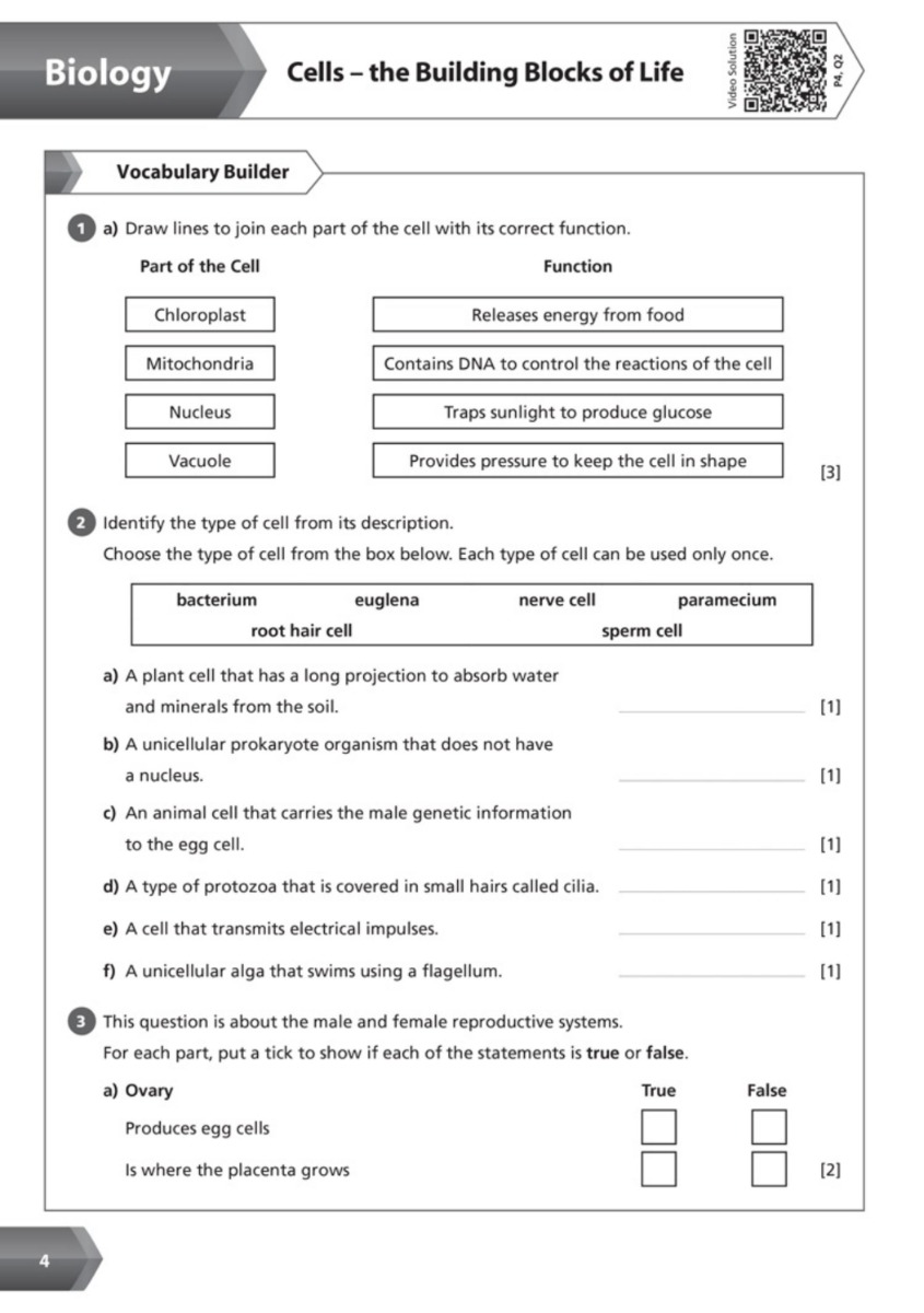 [object Object] «KS3 Science Year 7 Workbook» - фото №4 - миниатюра
