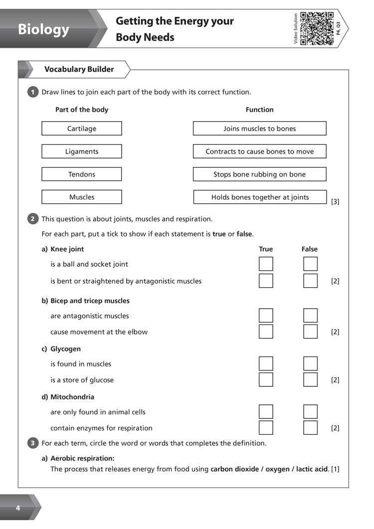 [object Object] «KS3 Science Year 8 Workbook» - фото №4 - миниатюра