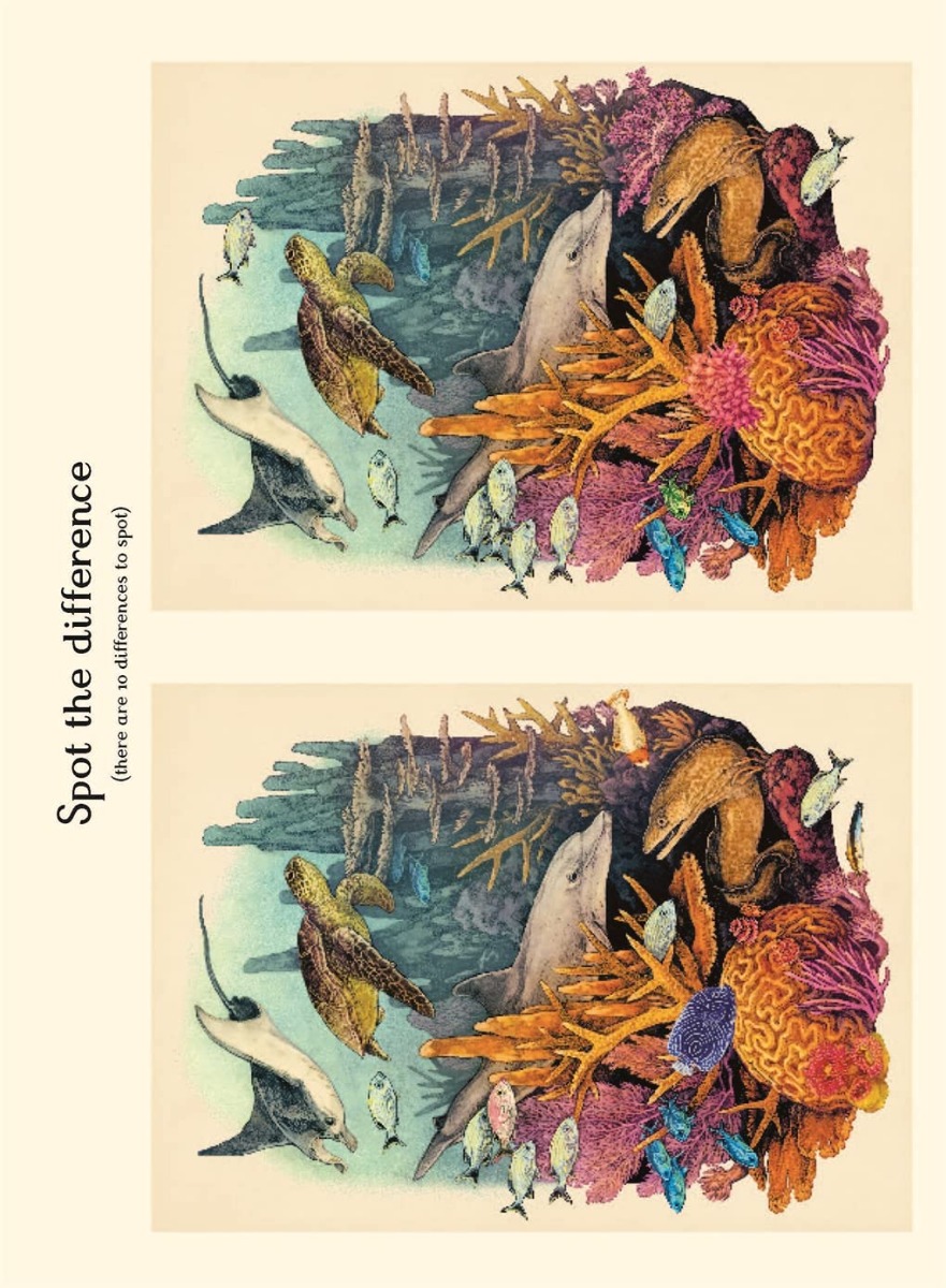 [object Object] «Oceanarium Activity Book», автор Лавдэй Триник - фото №4 - миниатюра