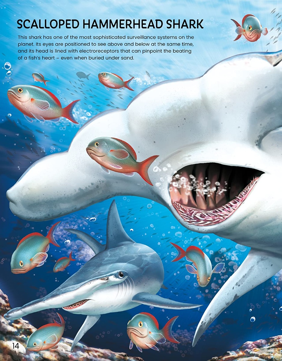 [object Object] «Build Your Own Sea Creatures. Sticker Book», автор Саймон Тадхоуп - фото №4 - миниатюра
