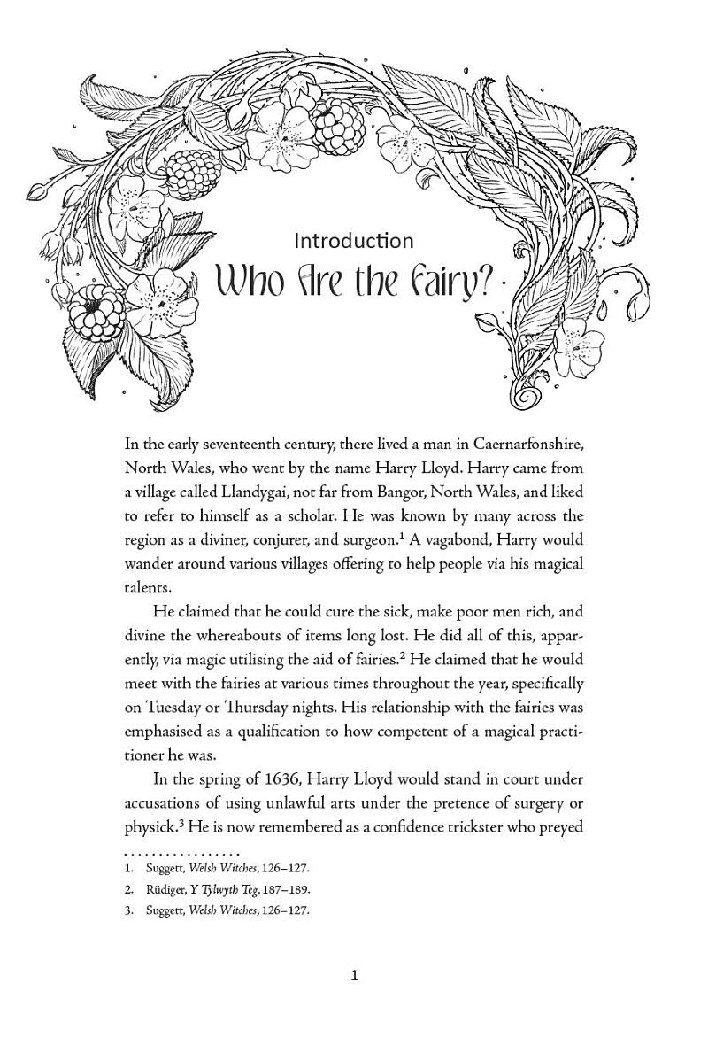 [object Object] «Welsh Fairies: A Guide to the Lore, Legends, Denizens & Deities of the Otherworld», автор Мхара Старлинг - фото №4 - миниатюра