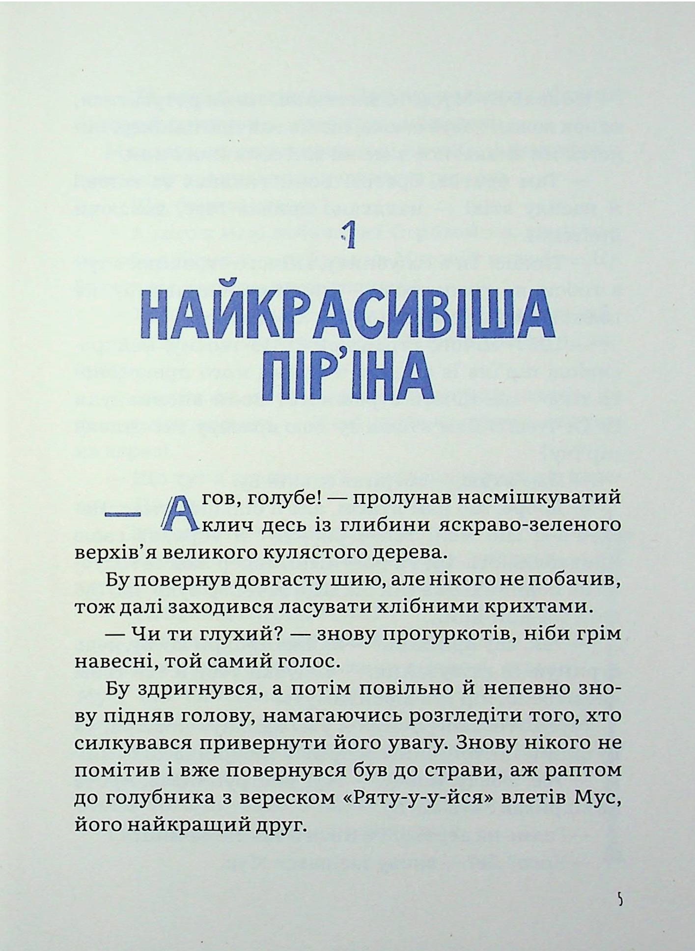 Крилаті історії. Велика мрія орла Бу — фото 5