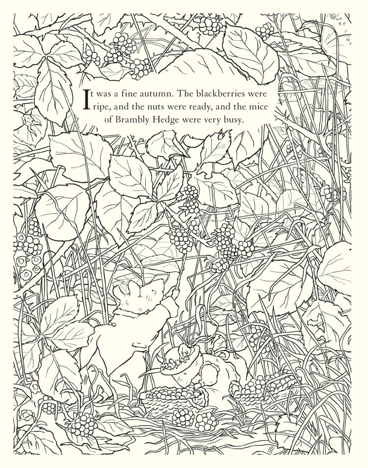 [object Object] «Brambly Hedge: Festive Colouring Book», автор Джилл Барклем - фото №4 - миниатюра