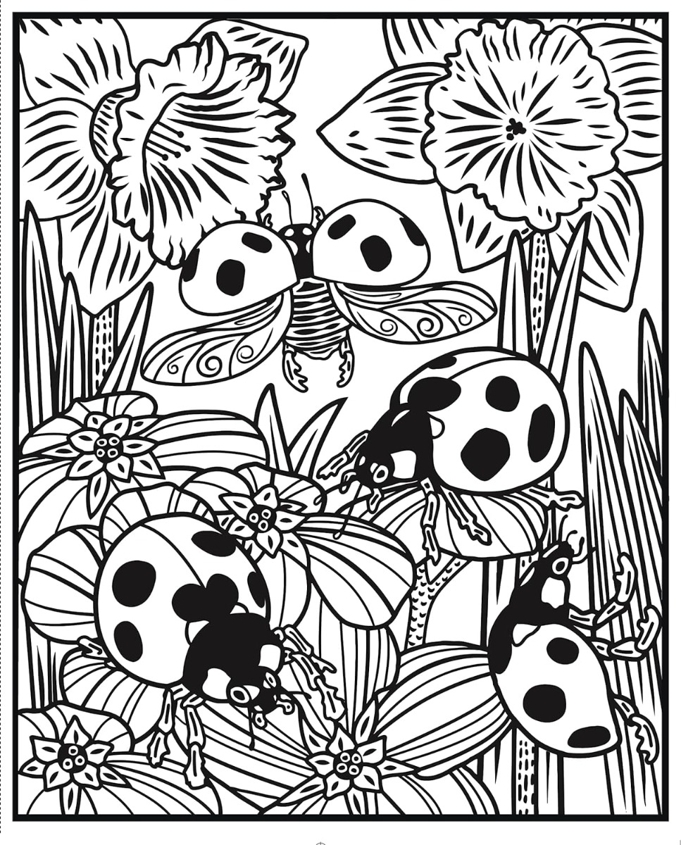[object Object] «Bugs. Magic Painting Book», автор Эбигейл Уитли - фото №5 - миниатюра