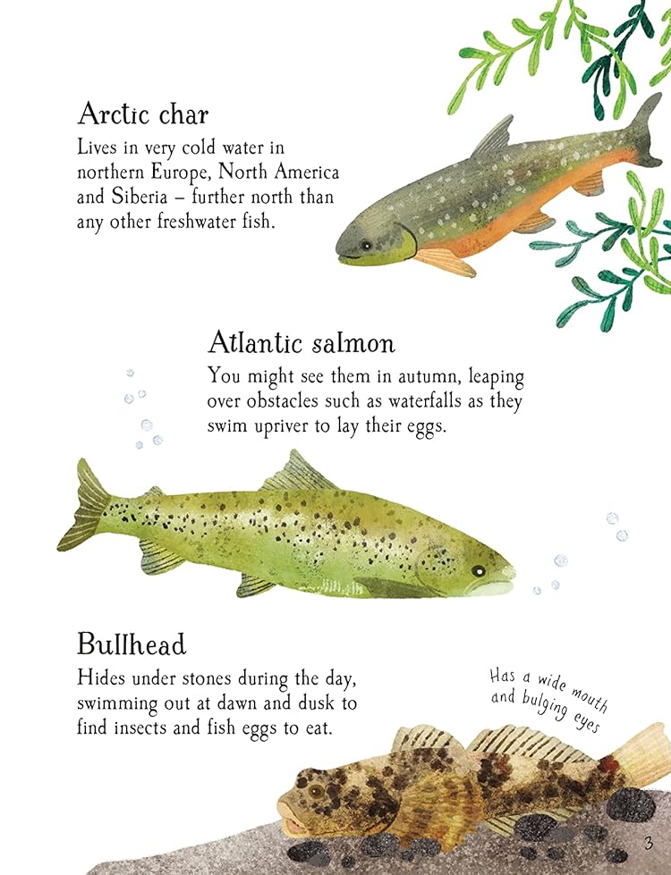 [object Object] «Fish to Spot», автор Кейт Нолан - фото №5 - миниатюра