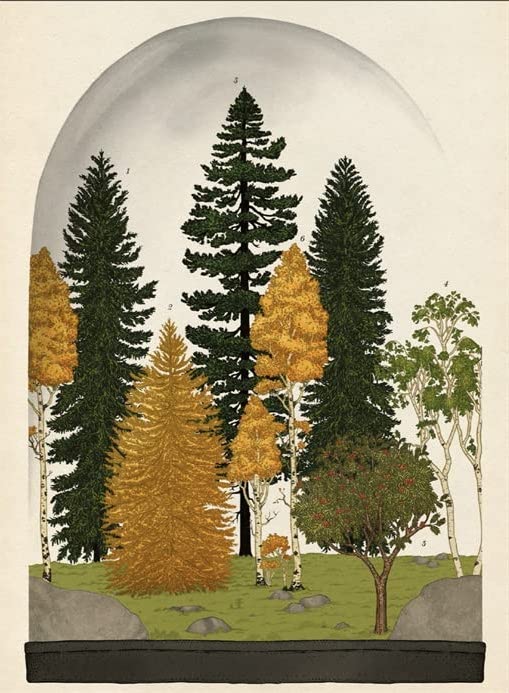 [object Object] «Arboretum», автор Тони Киркхэм - фото №6 - миниатюра