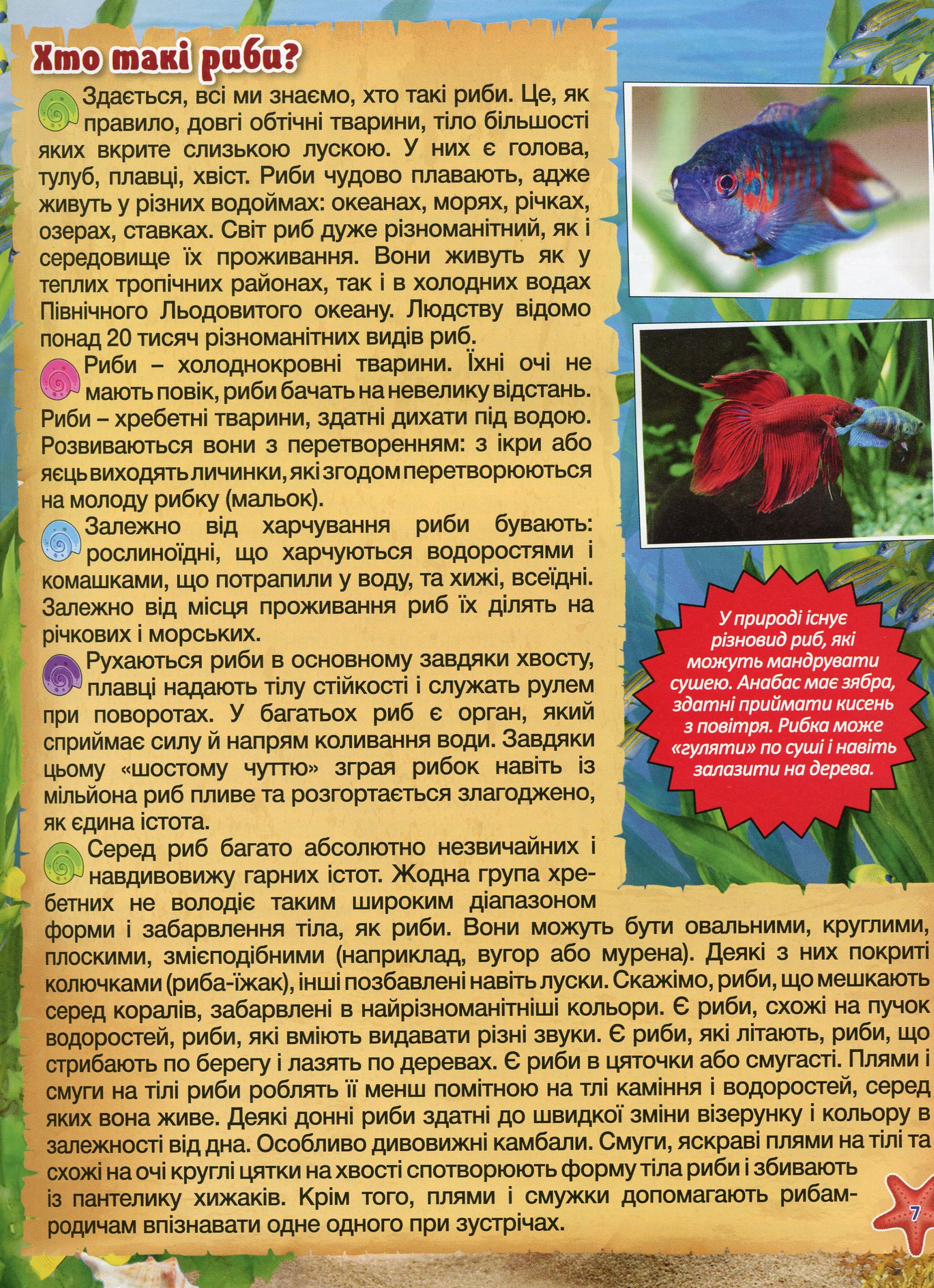 Підводний світ. Велика книга — фото 10