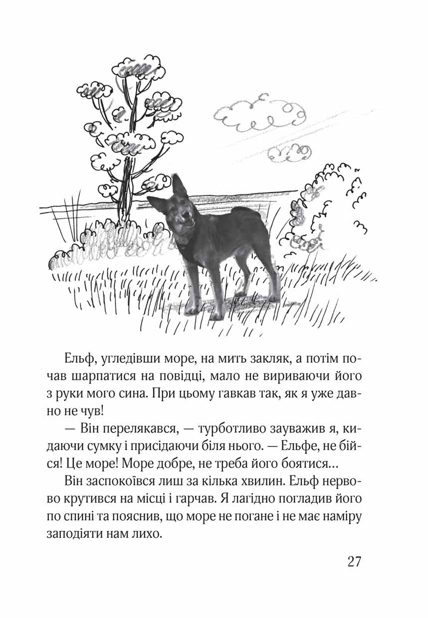 Ельф Всемогутній — фото 11