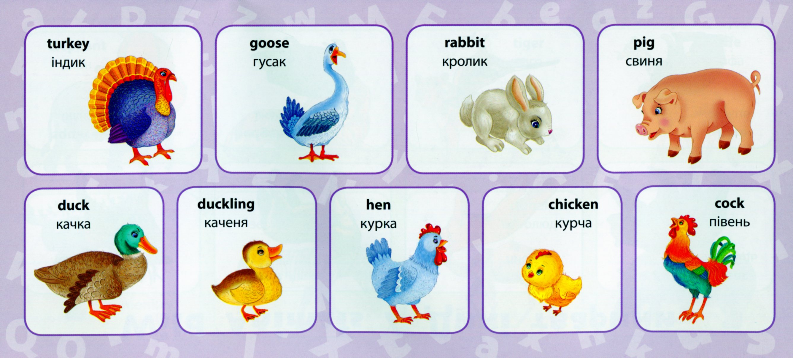 Англійська мова. 4 клас — фото 6