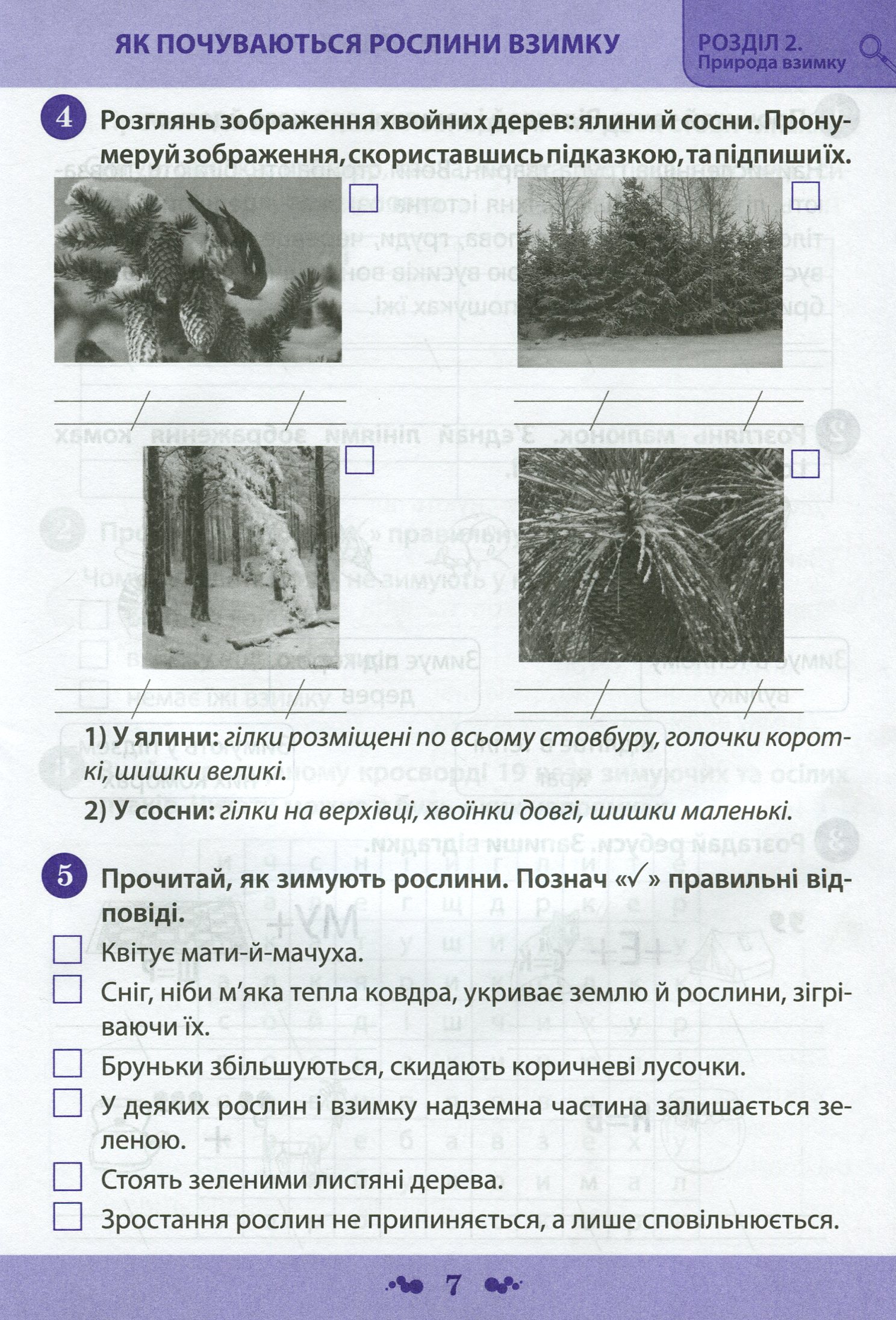 Я досліджую світ. 2 клас. Робочий зошит у 2-х частинах. Ч.2 — фото 6