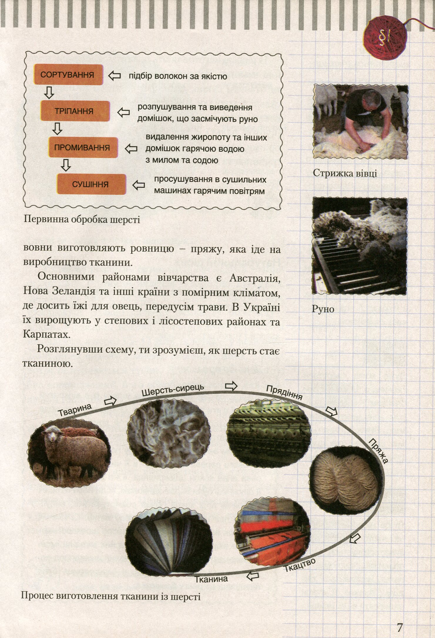 Трудове навчання (для дівчат). Підручник для 7 класу загальноосвітніх навчальних закладів — фото 10
