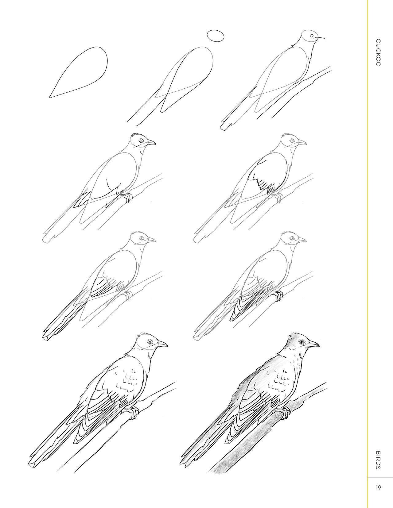 [object Object] «Draw Like an Artist. 100 Birds, Butterflies, and Other Insects. Step-by-Step Realistic Line Drawing — A Sourcebook for Aspiring Artists and Designers», автор Мелисса Уошберн - фото №5 - миниатюра