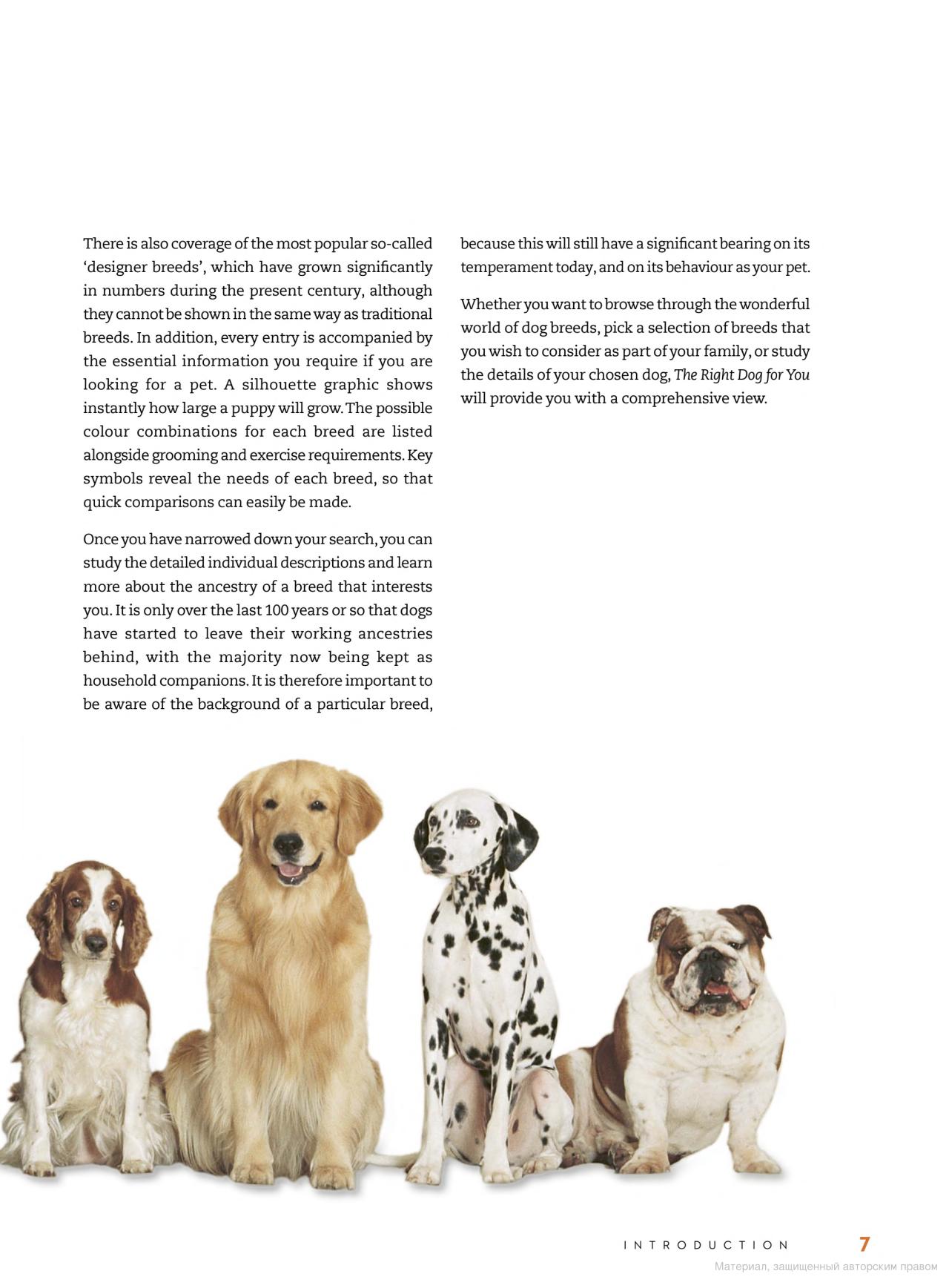[object Object] «The Right Dog for You. How to choose the perfect breed for you and your family», автор Девід Олдертон - фото №5 - мініатюра