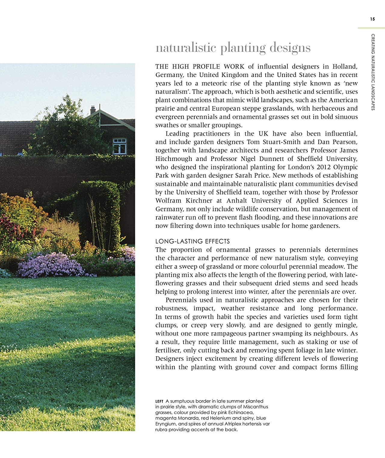[object Object] «New Wild Garden. Natural-style planting and practicalities», автор Иэн Ходжсон - фото №5 - миниатюра