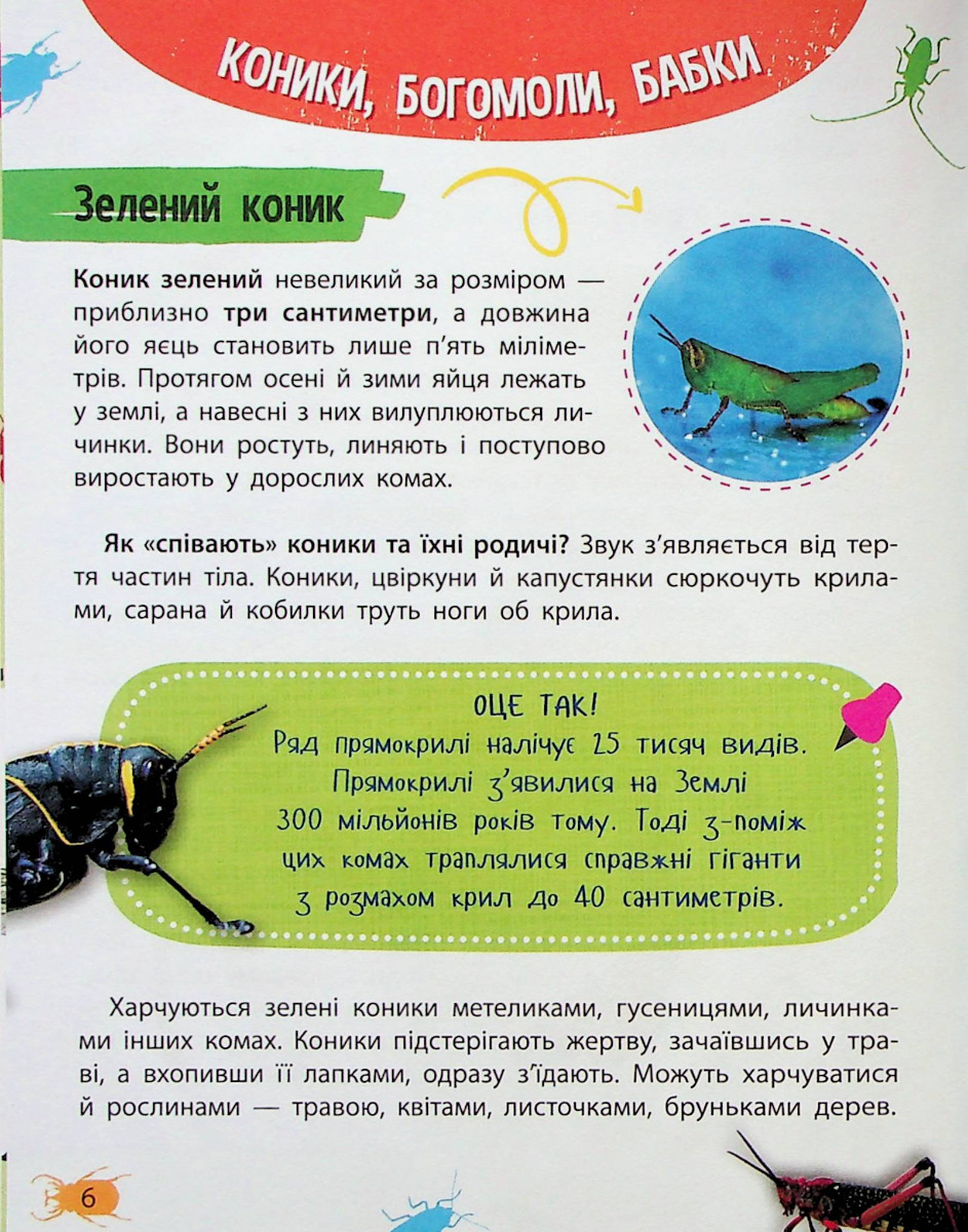 Мініенциклопедія. Комахи та павуки — фото 6
