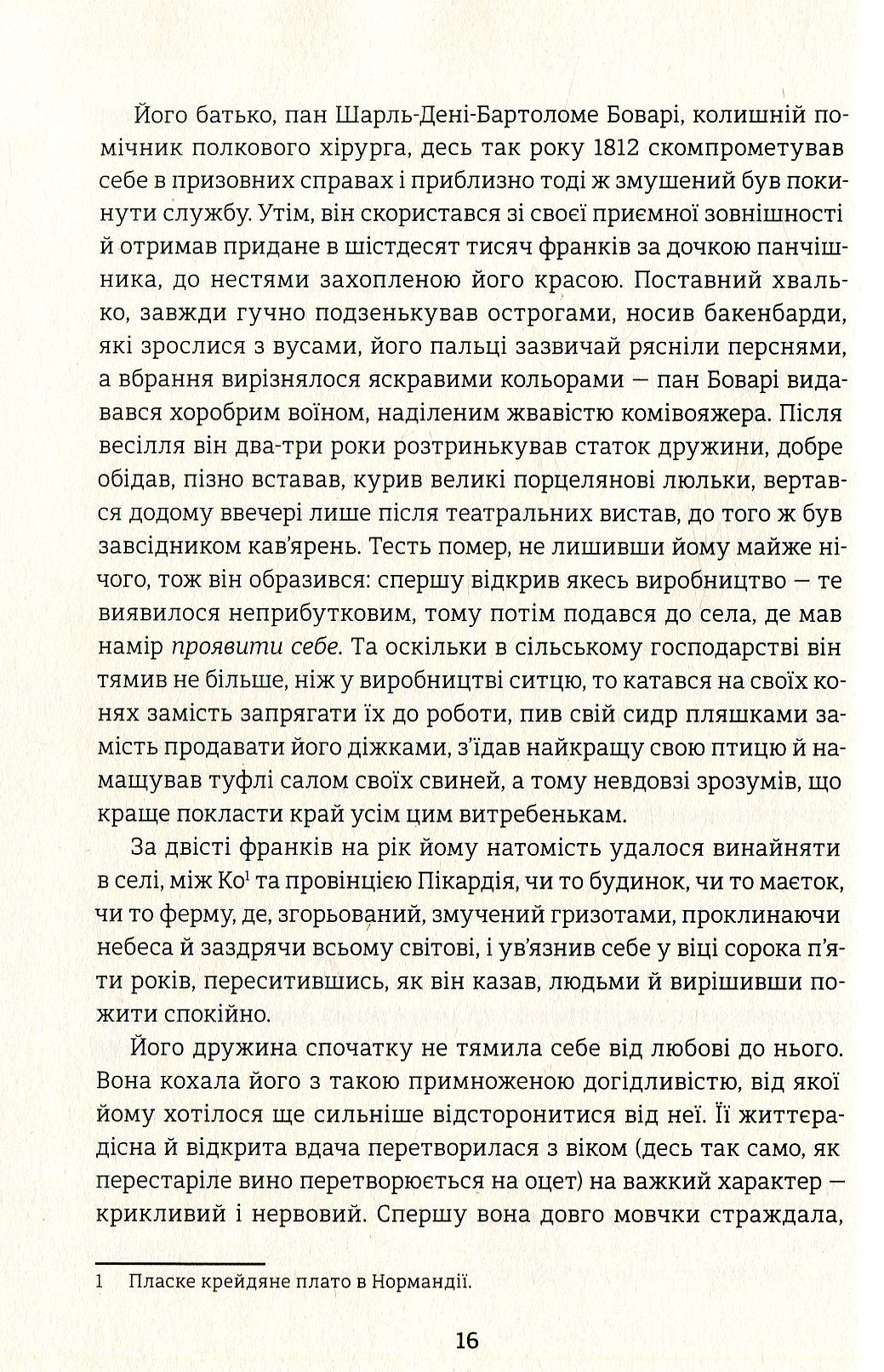 Пані Боварі — фото 8