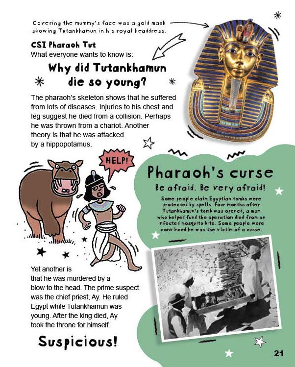 [object Object] «What happened to the pharaoh's brain? And other questions about ancient Egypt», автор Тим Кук - фото №5 - миниатюра