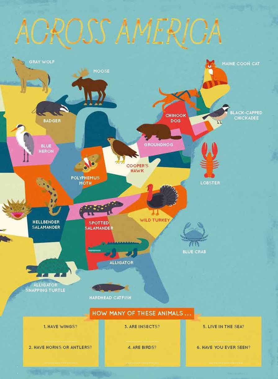 [object Object] «The 50 States. Activity Book», автор Габриэль Балкан - фото №5 - миниатюра