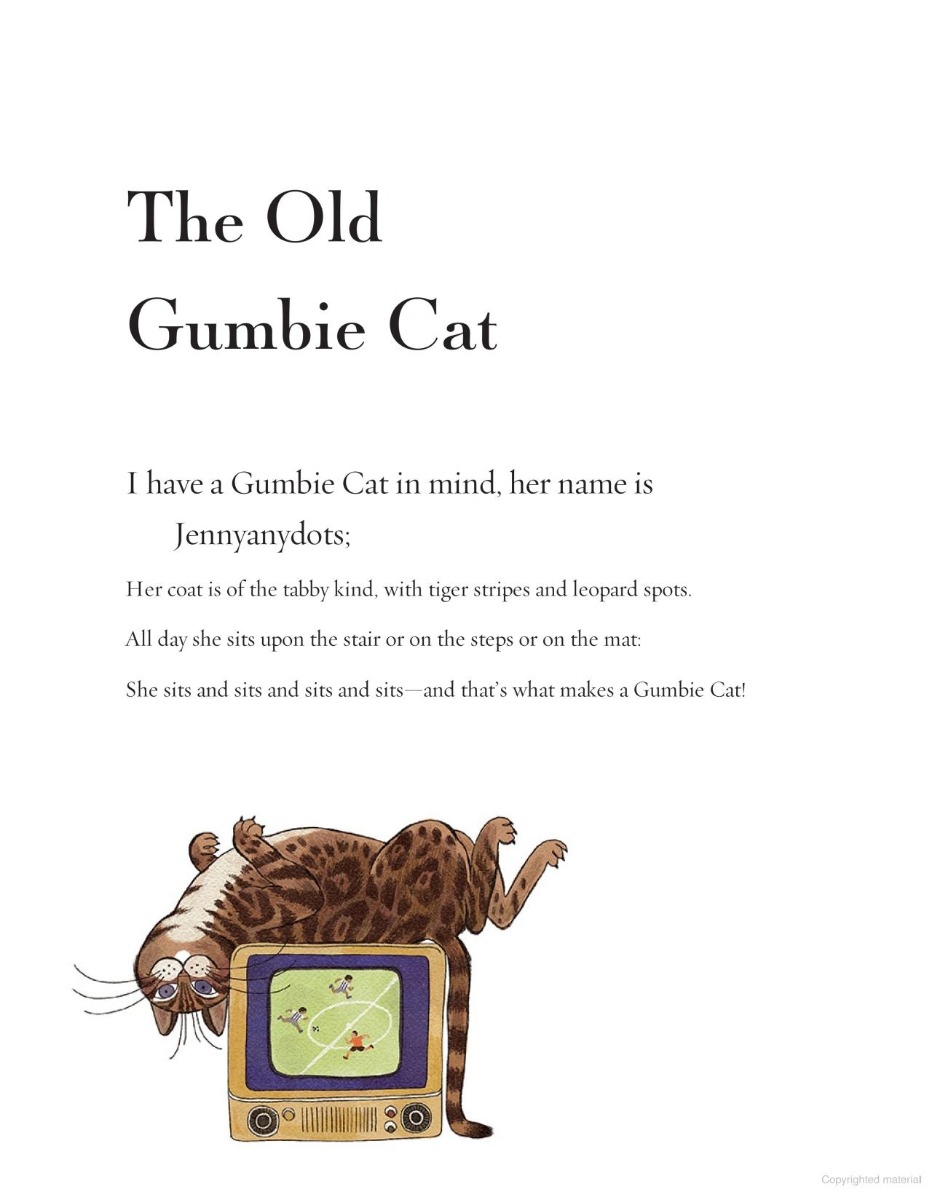 [object Object] «Old Possum's Book of Practical Cats», автор Томас Элиот - фото №5 - миниатюра