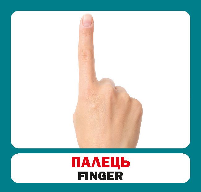 [object Object] «Частини тіла. Набір карток» - фото №5 - миниатюра