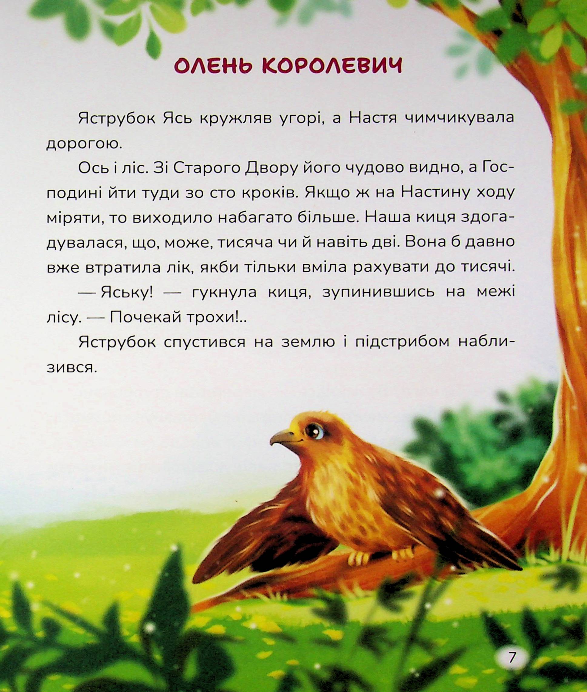 Нові стежки — фото 7