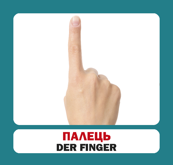 [object Object] «Частини тіла» - фото №6 - мініатюра