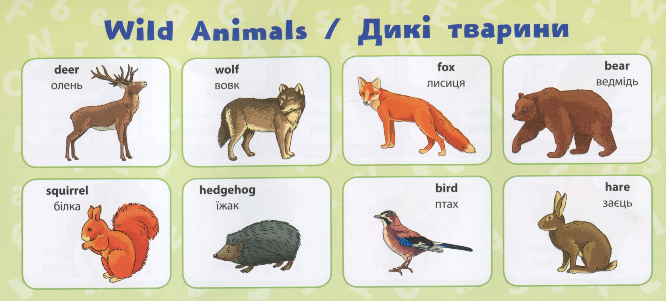 Англійська мова. 4 клас — фото 7